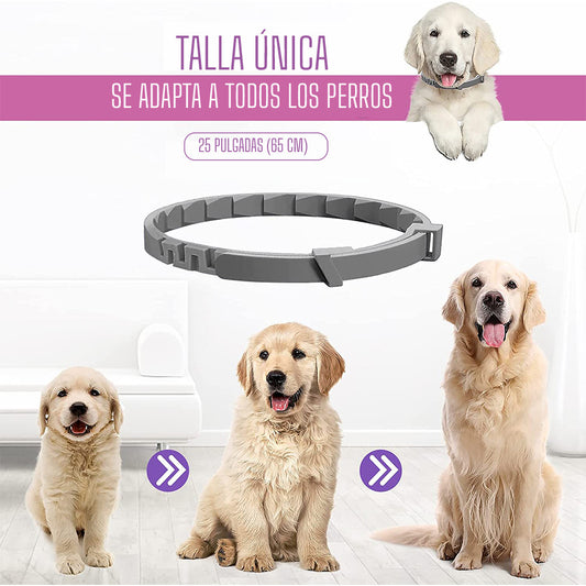 🐾Collar Calming de Feromonas|Di hola a la tranquilidad de tus mascotas con el💙✨